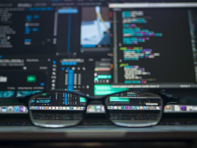 WordPress vs Custom Web Development: Which Is Right for You?
